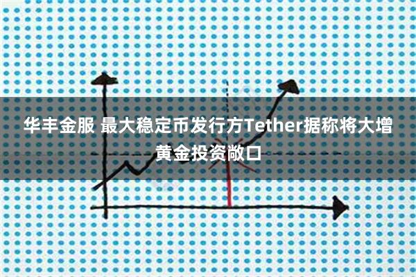 华丰金服 最大稳定币发行方Tether据称将大增黄金投资敞口