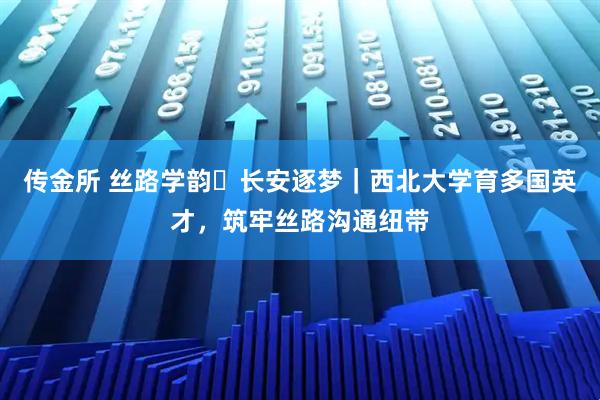 传金所 丝路学韵・长安逐梦｜西北大学育多国英才，筑牢丝路沟通纽带