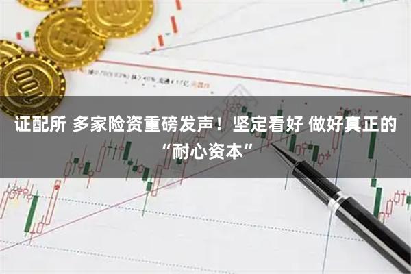 证配所 多家险资重磅发声！坚定看好 做好真正的“耐心资本”