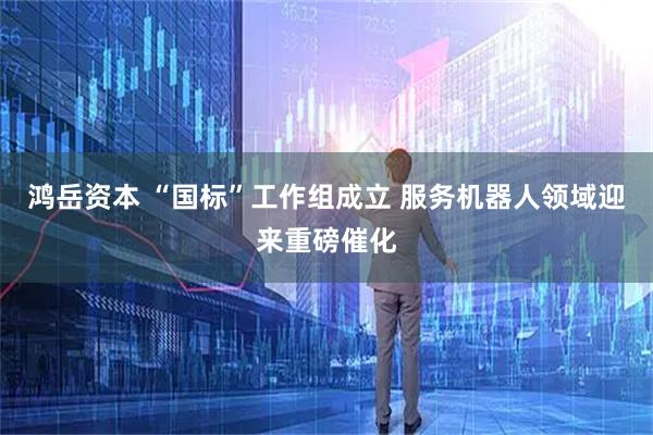 鸿岳资本 “国标”工作组成立 服务机器人领域迎来重磅催化