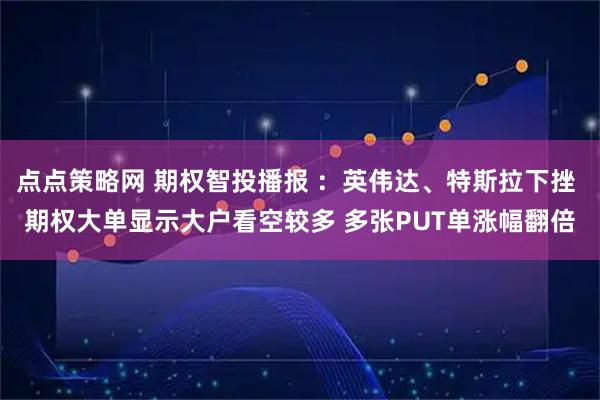 点点策略网 期权智投播报 ：英伟达、特斯拉下挫 期权大单显示大户看空较多 多张PUT单涨幅翻倍