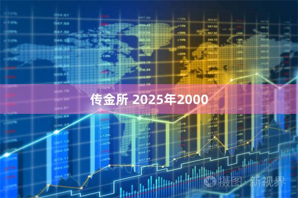 传金所 2025年2000