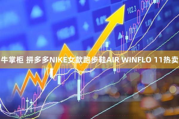 牛掌柜 拼多多NIKE女款跑步鞋AIR WINFLO 11热卖